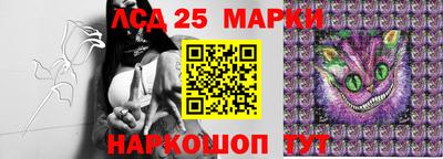 гидропоника Пушкино