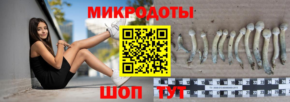 Галлюциногенные грибы прущие грибы Псков