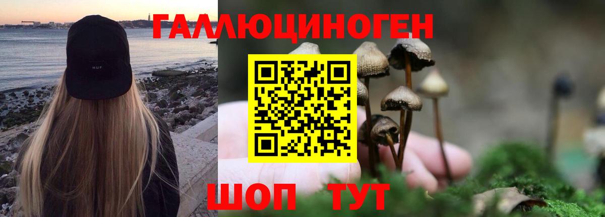 Галлюциногенные грибы GOLDEN TEACHER  Галлюциногенные грибы GOLDEN TEACHER  Псков  Вход с VPN 